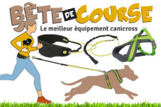 équipement Canicross, kit, matériel canicross !