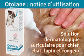  Otolane : notice d'utilisation