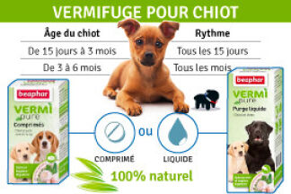 Vermifuge chiot, comment vermifuger un chiot !