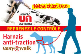 Harnais anti traction : harnais pour chien qui tire