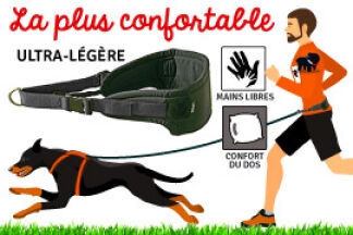Ceinture canicross ou baudrier canicross, Utilisation !