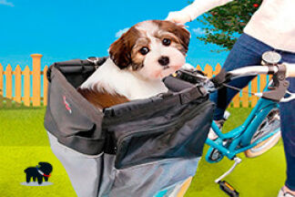 Panier vélo chien, porte chien : conseil d'achat
