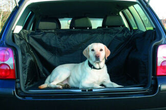 Protection coffre chien : conseils d'achat