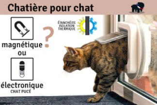 Chatière pour chat : magnétique ou électronique ?