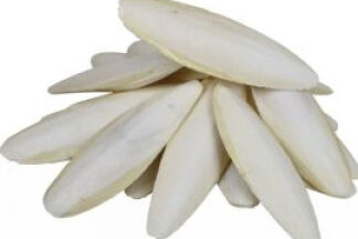 Os de Seiche pour tortue, Os de seiche pour oiseaux