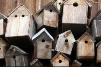 Fabriquer un nichoir pour mésange, diamètre trou du nichoir !