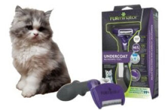Brosse Furminator chat, la brosse miracle !