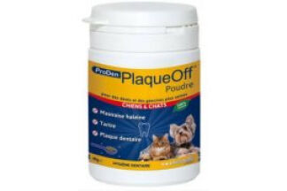 Plaque off chien, tartre, plaque dentaire, haleine !