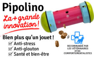Pipolino pour chien, Conseil d'utilisation !