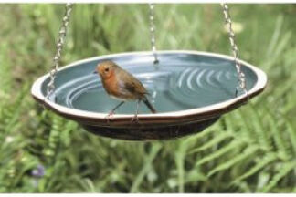 Baignoire pour oiseaux jardin, Conseil d'installation !