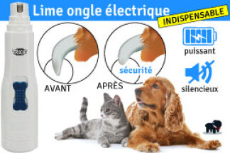 Lime ongle électrique chien, conseil d’utilisation !