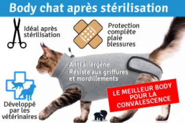 Body Pour Chat, 1 Pièce, S, Bleu, Vêtement Postopératoire Pour