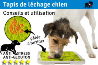Tapis de léchage chien : conseil & utilisation !