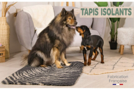 Tapis chauffant chien : coussin sans électricité, l’unique !