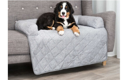 Protection canapé chien : Le protège canapé le + adapté !