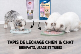 Tapis de léchage chien & chat : bienfaits, usage et tubes