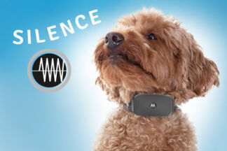 Ultrason pour chien : les effets sur l’animal et ses utilisations