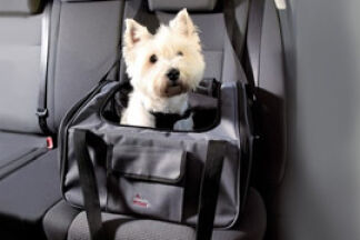 Transport chien voiture : nos conseils de sécurité