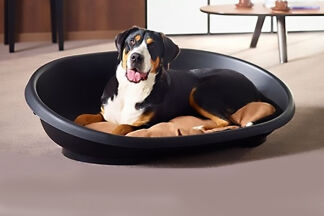 Panier plastique chien : corbeille chien destructeur