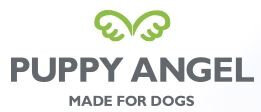 Puppy Angel