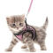 Harnais chaton