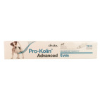 Probiotique chien