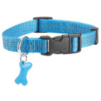 Collier petit chien
