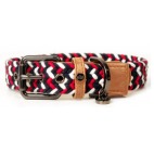 Collier bouledogue français