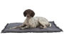 Tapis pour chien