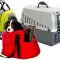 Transport du chien