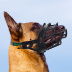 Muselière pour chien