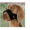 Muselière pour chien