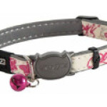 Collier pour chat