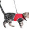 Harnais pour chat