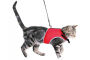 Harnais pour chat