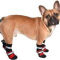 Chaussures pour chien