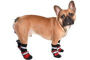 Chaussures pour chien