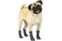 Chaussettes pour chien