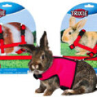 Collier, laisse et harnais