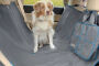 Housse voiture chien