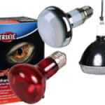 Éclairage, chauffage terrarium