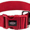 Collier gros chien