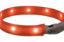 Collier lumineux chien