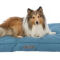 Matelas et coussin pour chien XXL