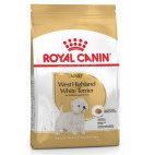 West Higland White terrier