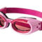 Lunettes pour chien