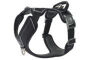 Harnais pour chien
