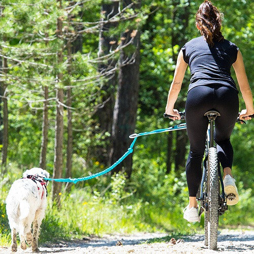 Barre Cani VTT : Traction canicross vélo, Tous nos conseils Pro !