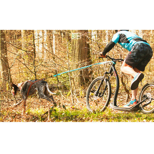 Barre Cani VTT : Traction canicross vélo, Tous nos conseils Pro !