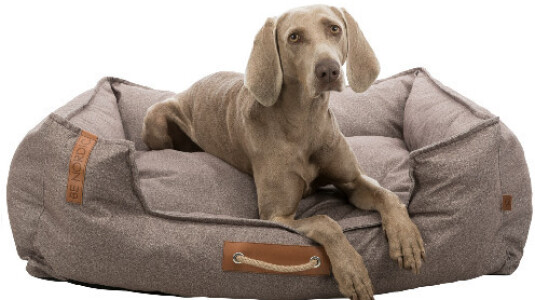 Les critères pour choisir le meilleur panier pour un grand chien